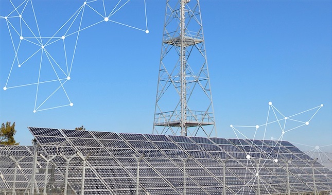 Telecommunications company invests in sustainable development