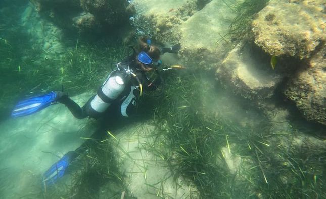 Amathus' underwater museum ready to welcome its first visitors