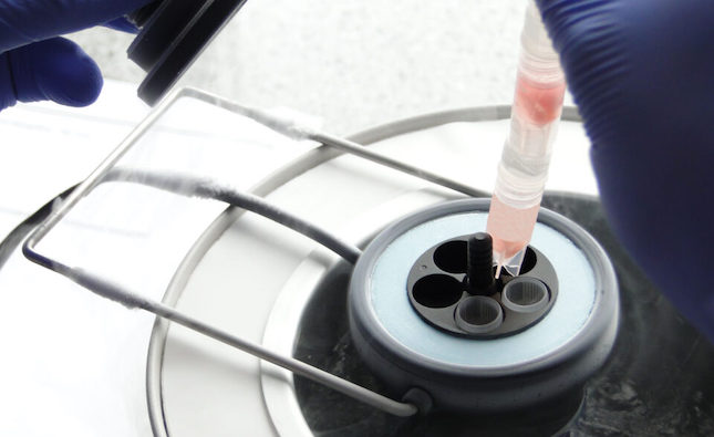Government subsidy on egg freezing garnering popularity