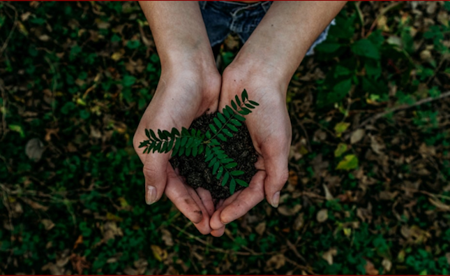 Environmental protection expenditure around 1.5% of GDP