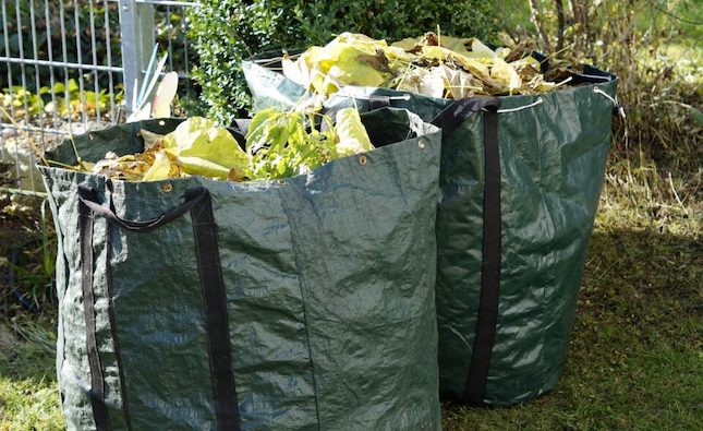 Dherynia municipality named as Green Town