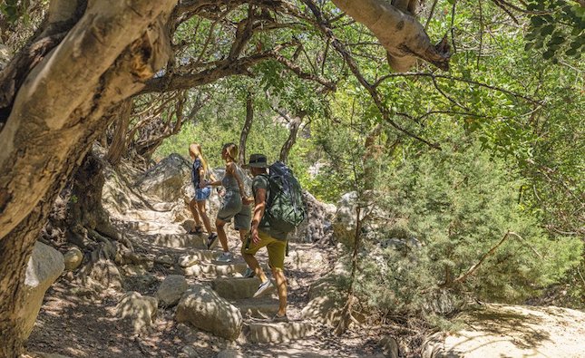 Hiking, nature tours launched
