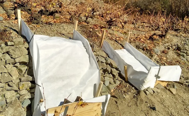 Project launched to tackle island’s serious soil erosion