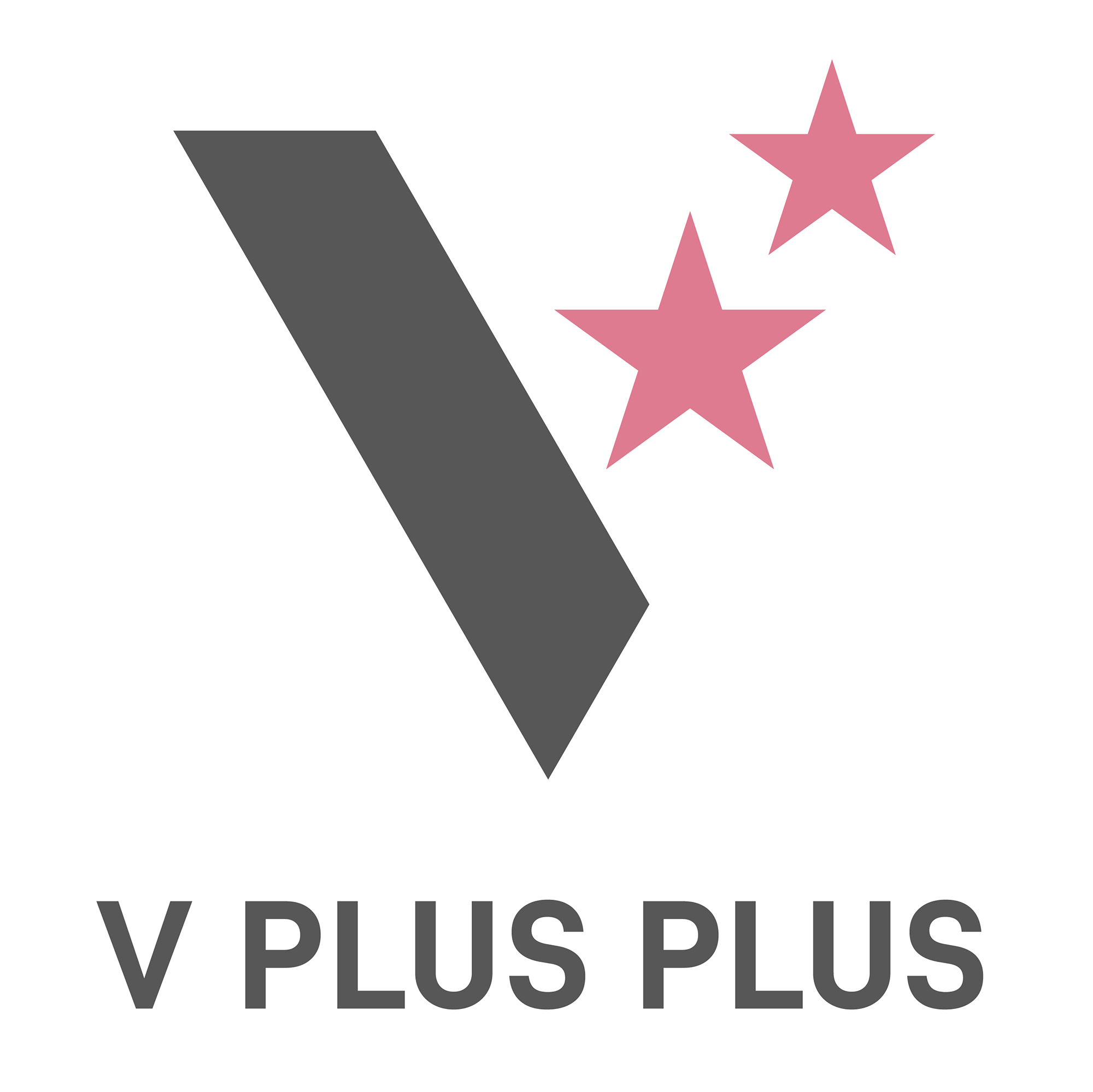 V PLUS PLUS LTD