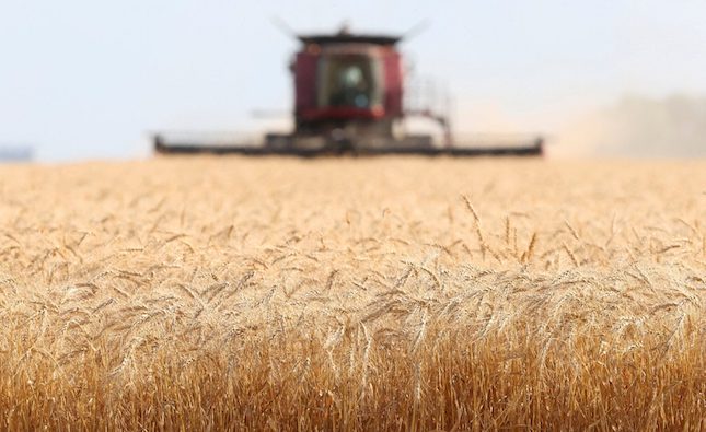 Cyprus not running out of wheat
