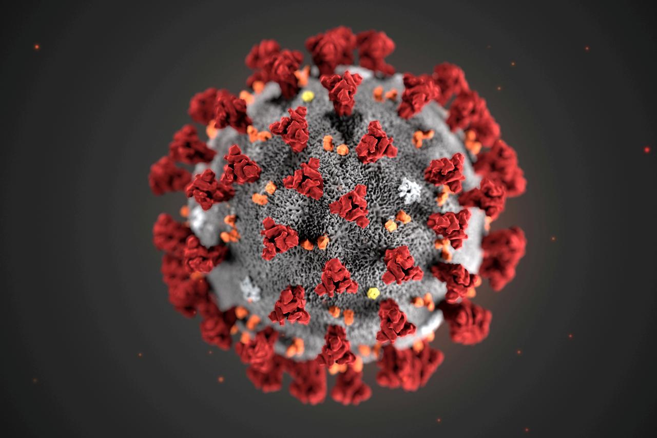 Coronavirus: Zero new daily cases announced for second time in a week