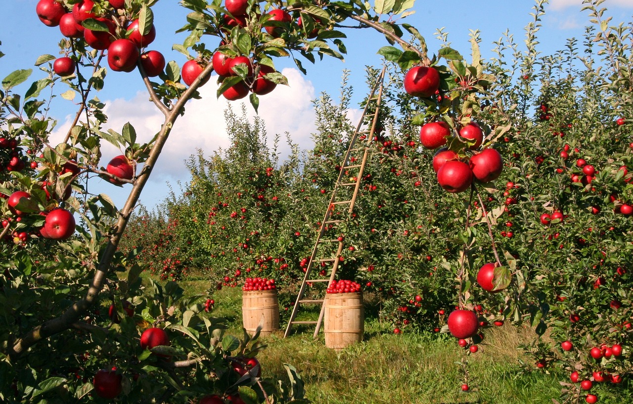 Regenerative agriculture: how working with nature makes you a more profitable farmer