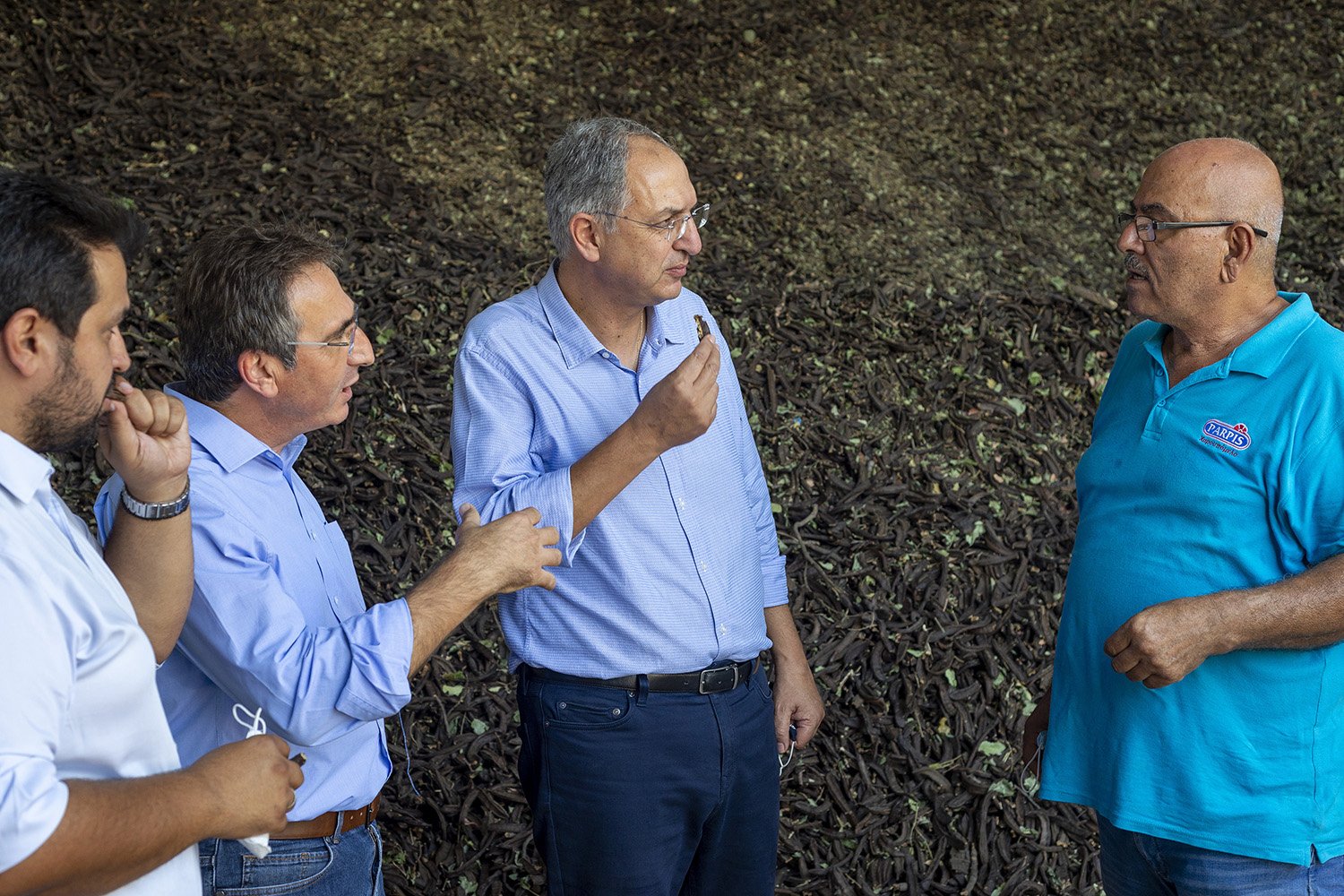 Agriculture ministry pledges to support carob production