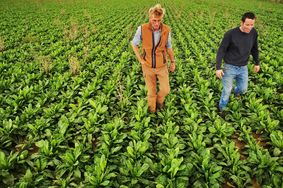 Commission proposes €574,000 in funds to support farmers in Cyprus