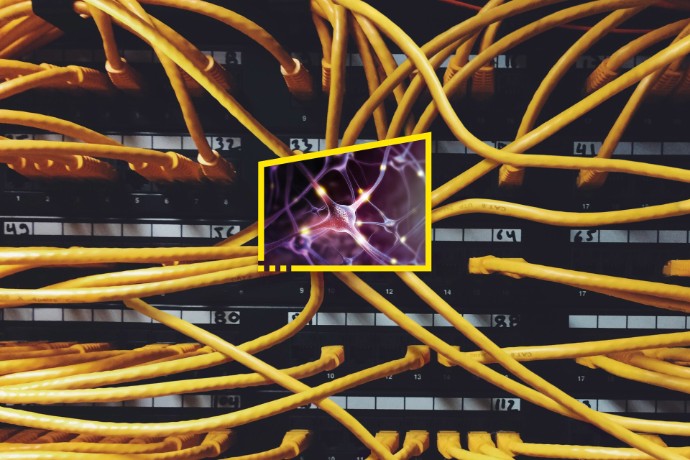 EY: Finance leaders rethink roles and responsibilities as new operating reality sets in