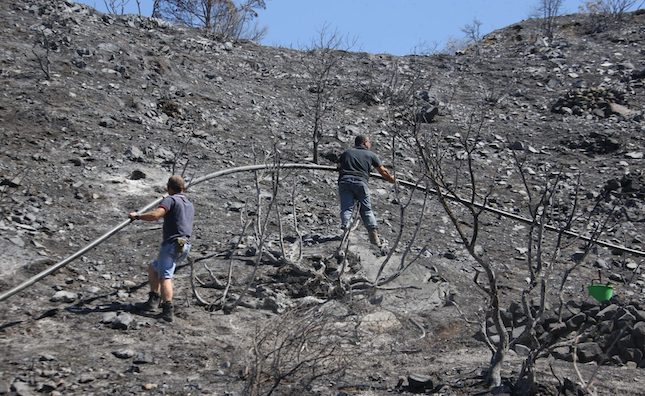 Action plan for fire-hit regions is finalised