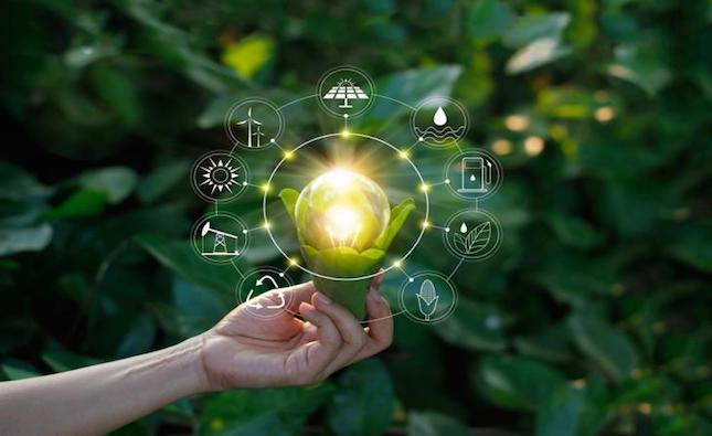 Cheaper electricity, water bills in Cyprus through green transition