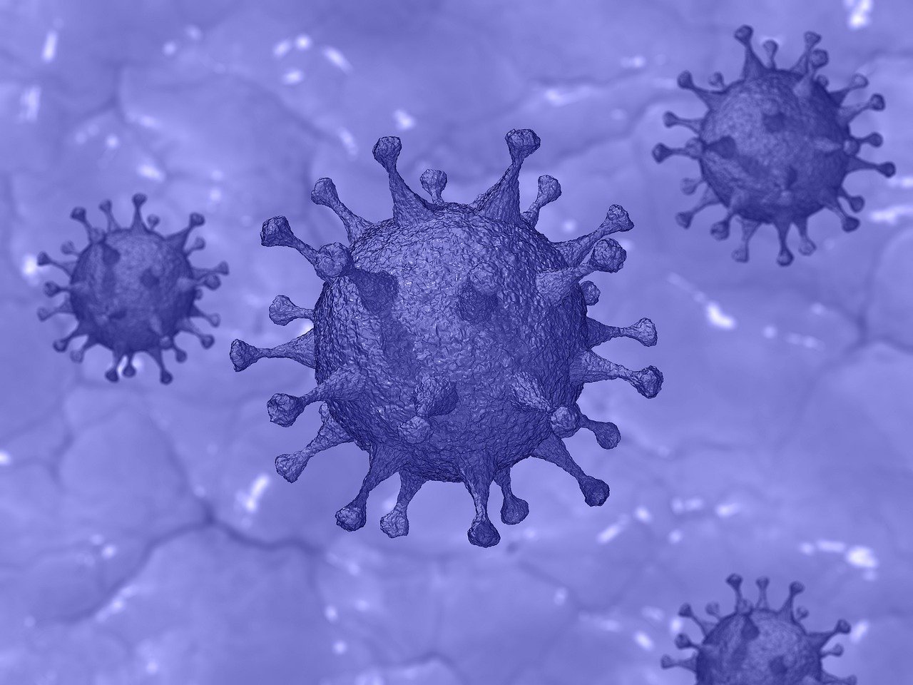 Coronavirus: one new case announced on Thursday