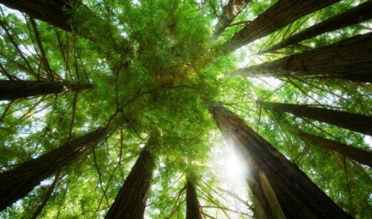 29% of Cyprus land is Natura 2000 protected territory