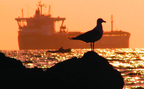 Interest in Limassol port