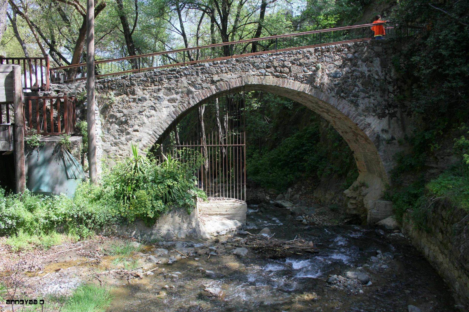 Attracting tourism to Cyprus post-Covid