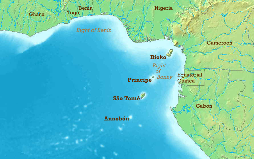 Cyprus shipping calls for more naval assets to tackle Gulf of Guinea piracy