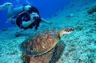Cyprus maps out ambitious future for diving tourism